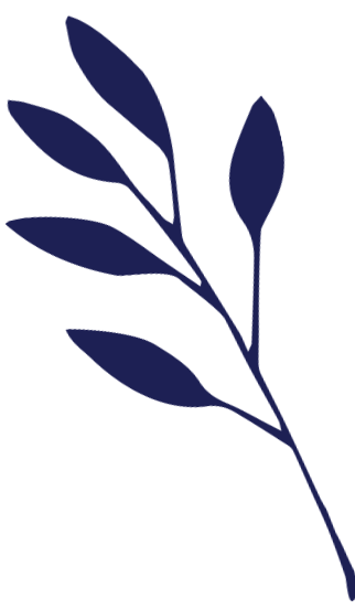 floare_albastra_dreapta